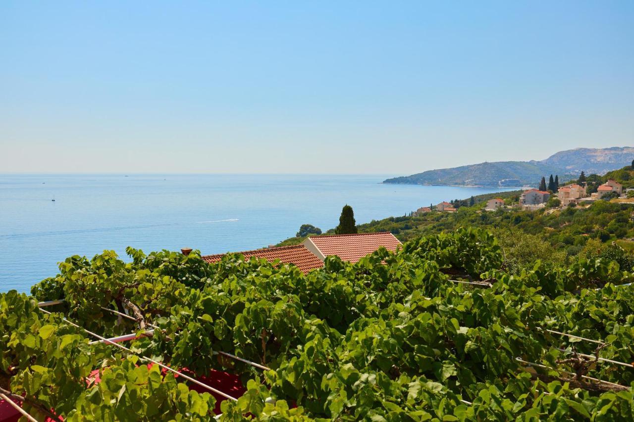 Apartman Ani Mlini Dış mekan fotoğraf